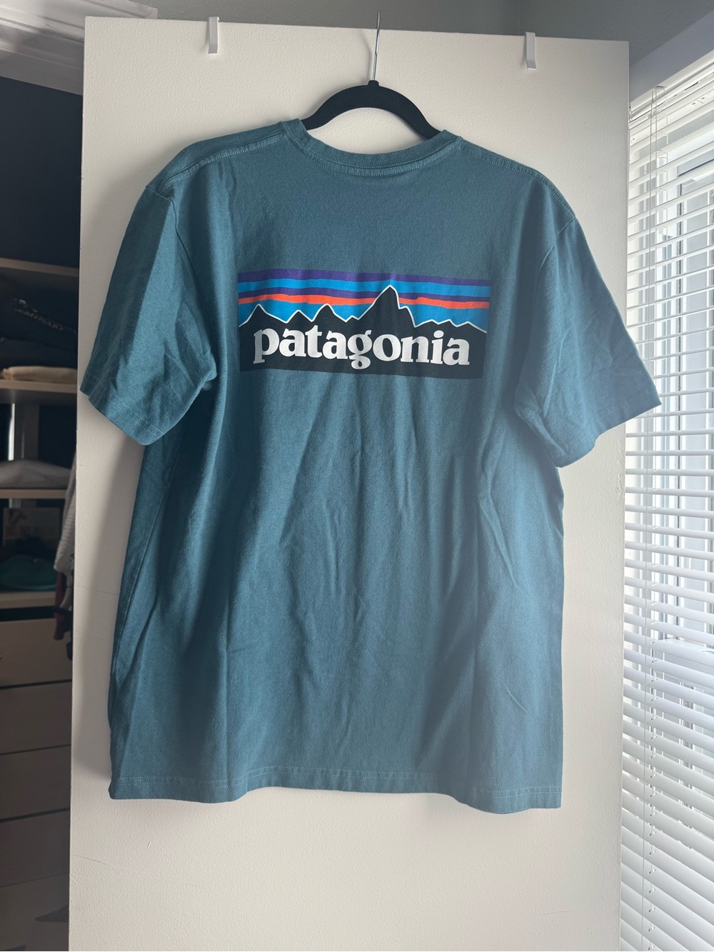 Patagonia Teal Short-Sleeve Logo Tee with Blue & Purple Stripes